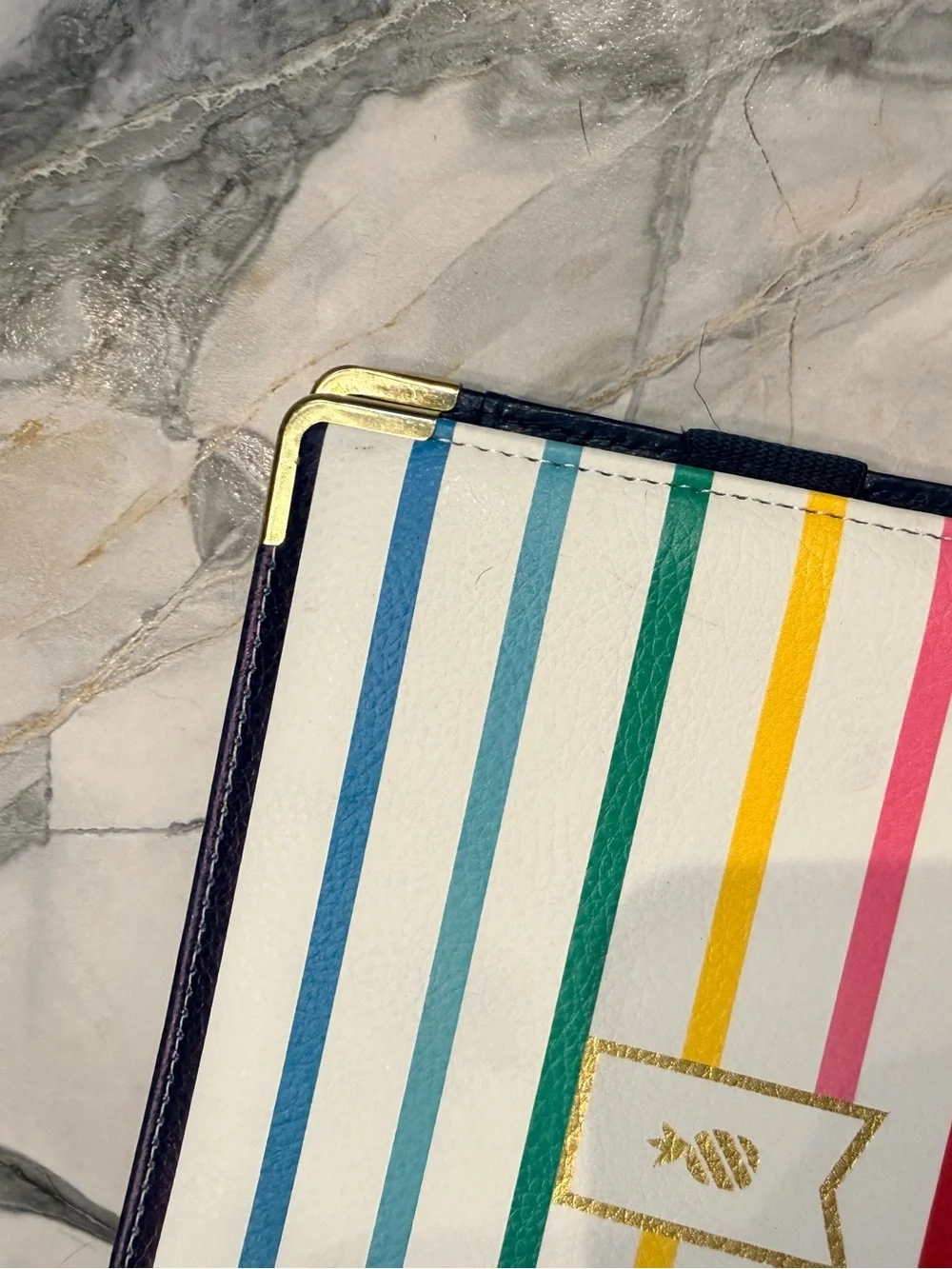 Emily Ley Simplified Planner Binder Multicolor Stripe 2016 Gold Hardware
